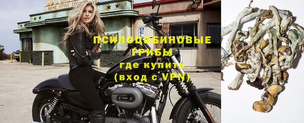 эйфоретик Бородино