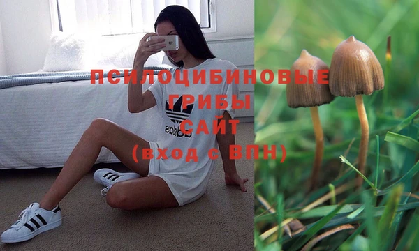 альфа пвп Верея