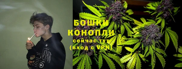 PSILOCYBIN Верхний Тагил