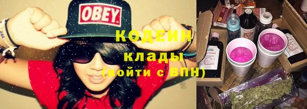 эйфоретик Бородино