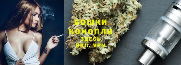 PSILOCYBIN Верхний Тагил