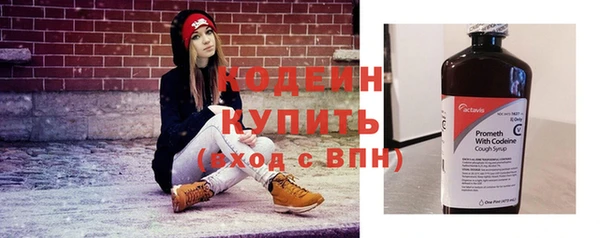 эйфоретик Бородино