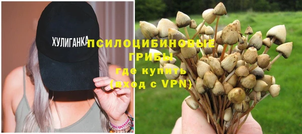 PSILOCYBIN Верхний Тагил