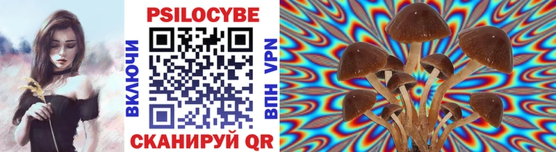 Псилоцибиновые грибы прущие грибы  Сургут 